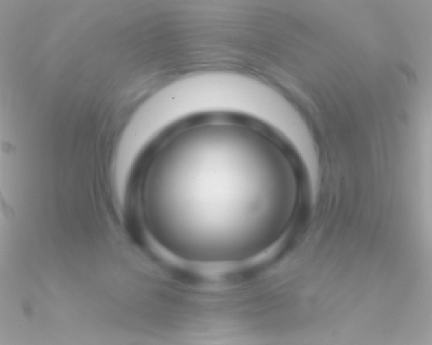 X0000090950076200708021345
