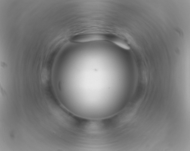 X0000090950077200708021345