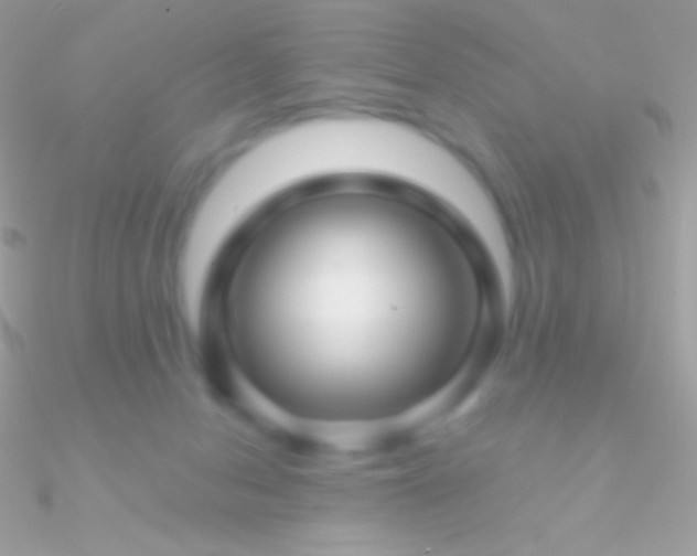 X0000090950078200708021345