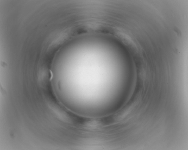 X0000090950079200708021345