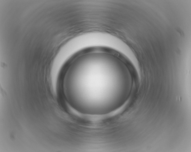 X0000090950080200708021345