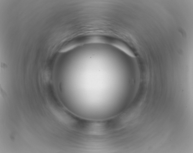 X0000090950081200708021345