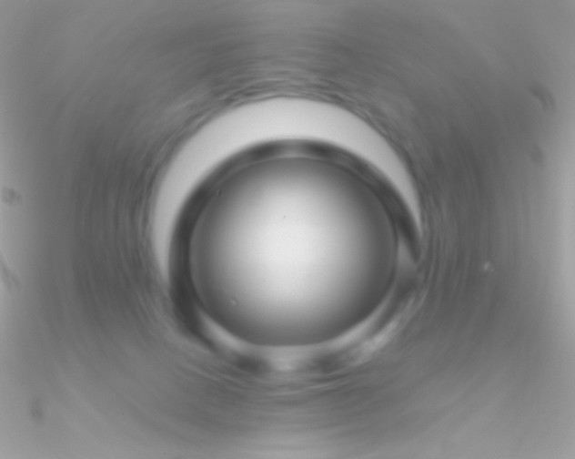 X0000090950082200708021345