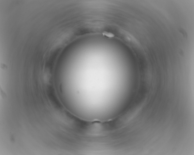 X0000090950083200708021345