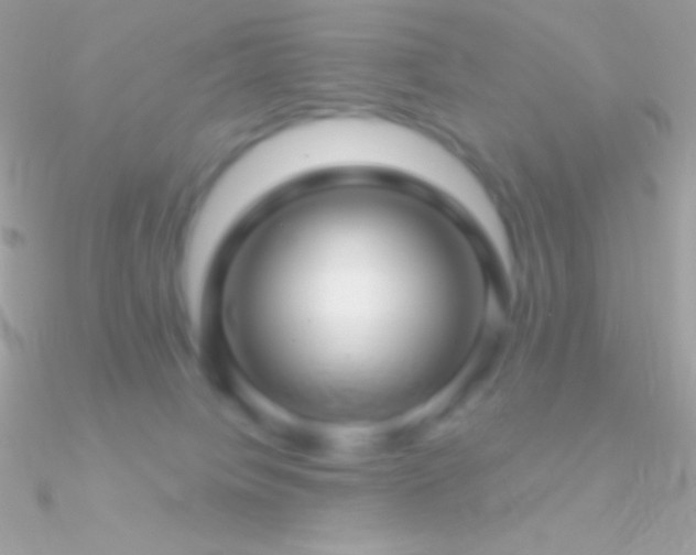 X0000090950084200708021345