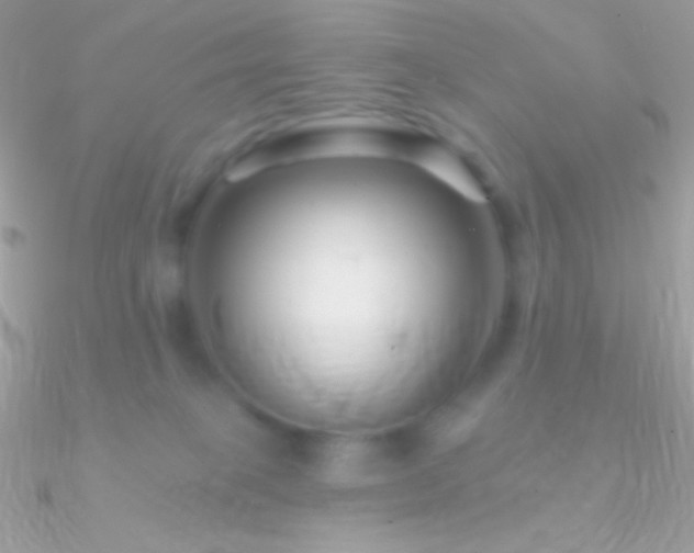 X0000090950085200708021345
