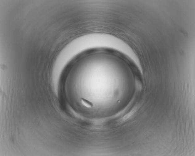X0000090950086200708021345