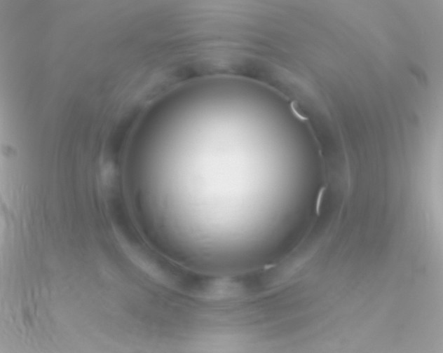 X0000090950087200708021345