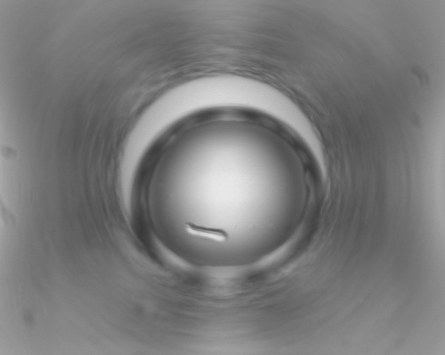 X0000090950088200708021345