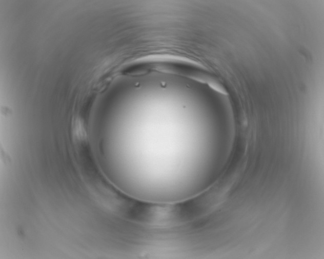 X0000090950089200708021345