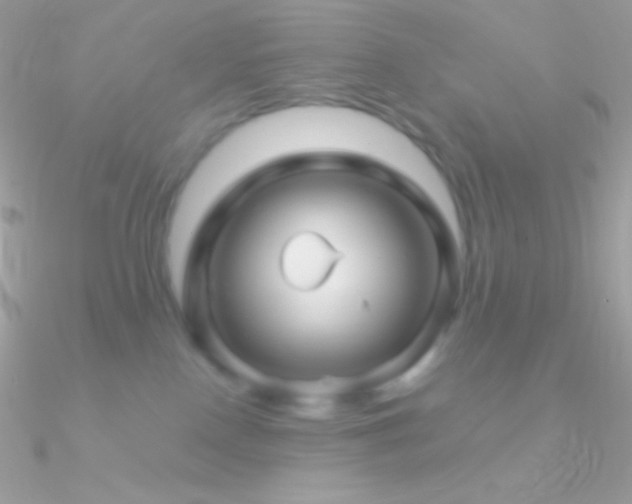 X0000090950090200708021345