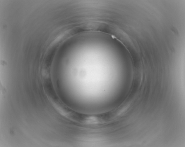 X0000090950091200708021345