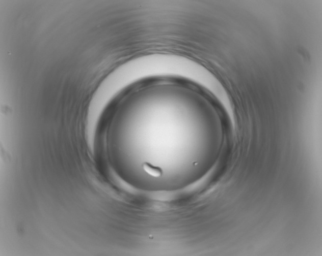 X0000090950092200708021345