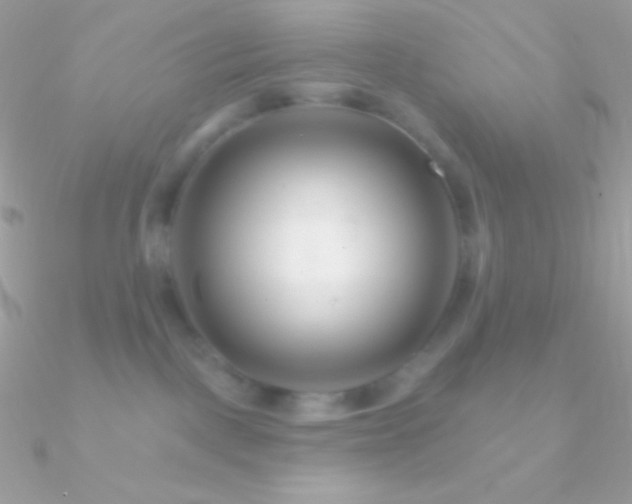 X0000090950093200708021345
