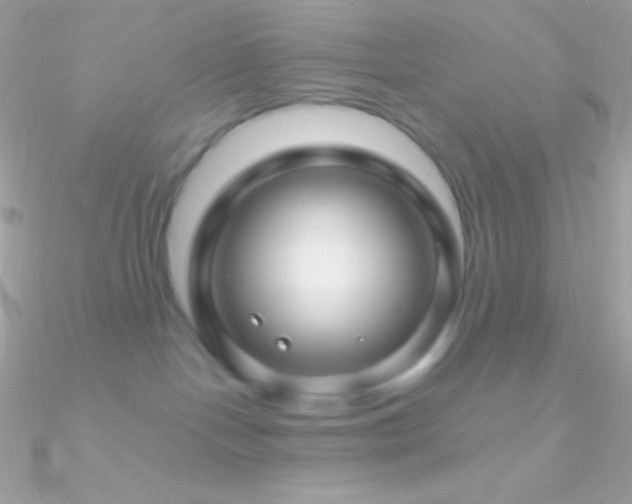 X0000090950094200708021345