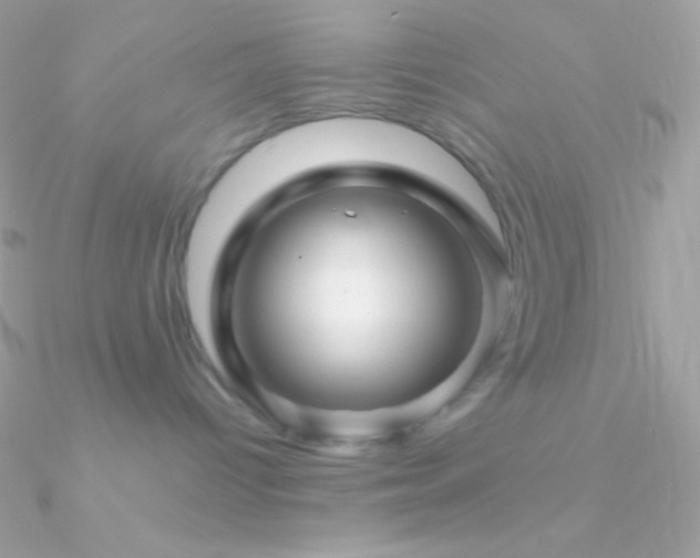 X0000090950096200708021345