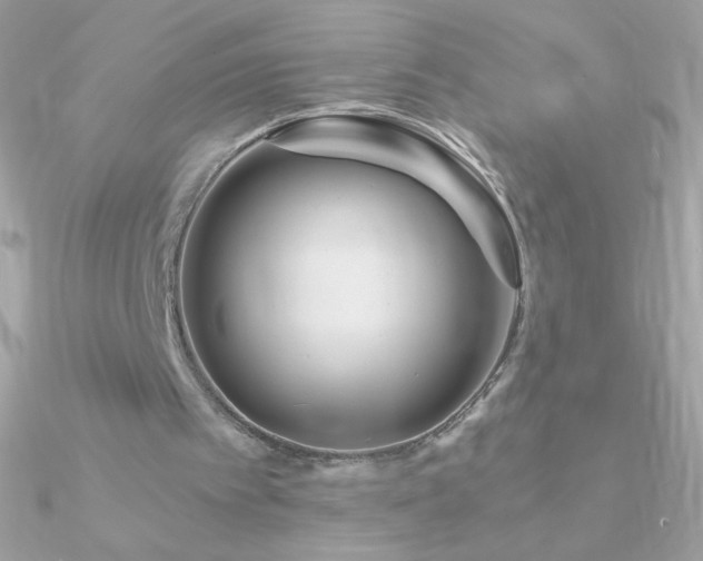 X0000090950097200708021344
