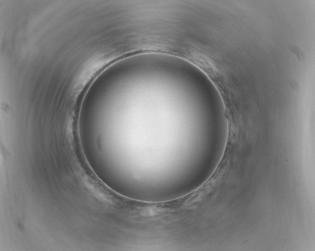 X0000090950098200708021344