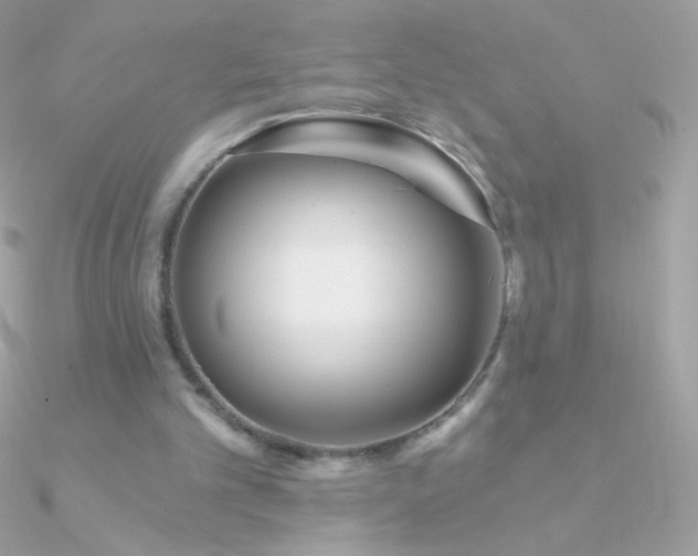 X0000090950101200708021344