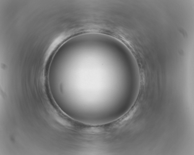 X0000090950102200708021344