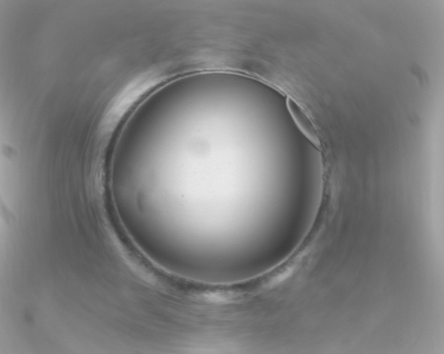 X0000090950103200708021344