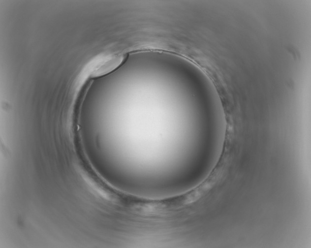 X0000090950104200708021344