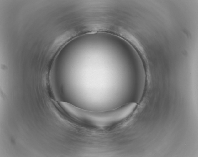 X0000090950105200708021344