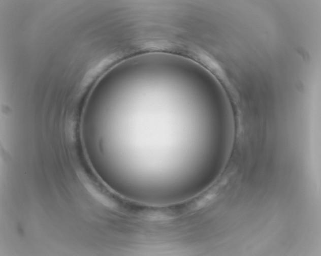 X0000090950106200708021344
