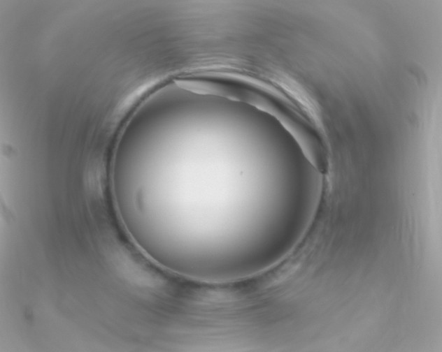X0000090950107200708021344