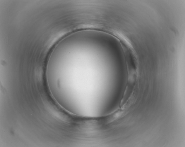 X0000090950108200708021344