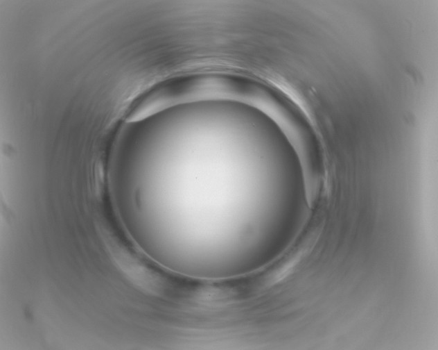 X0000090950109200708021344