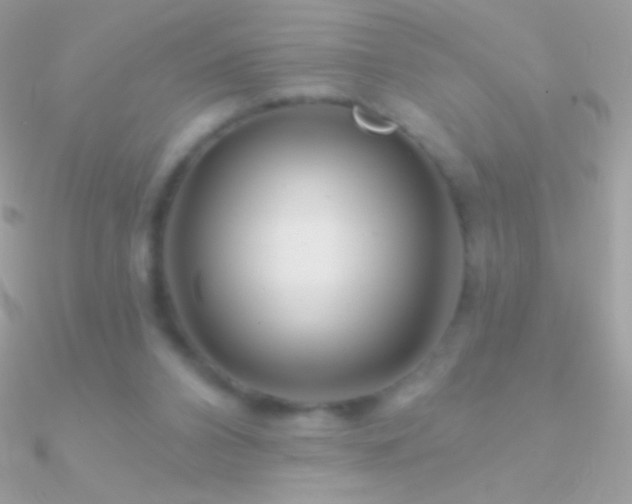 X0000090950112200708021344