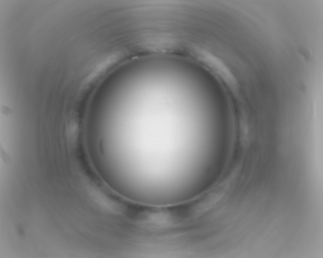 X0000090950113200708021344