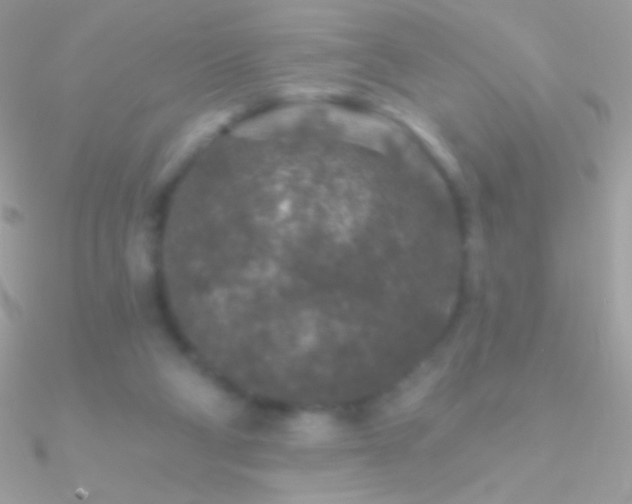X0000090950114200708021344