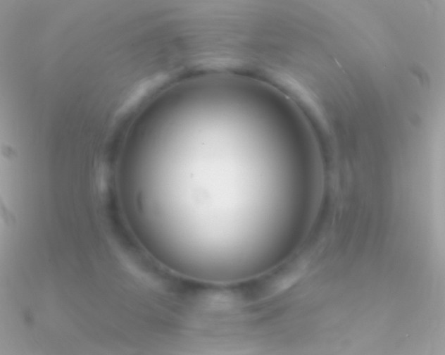 X0000090950115200708021344