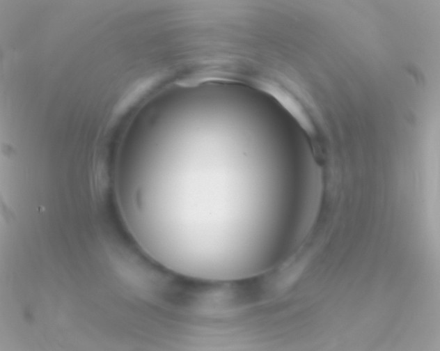 X0000090950116200708021344