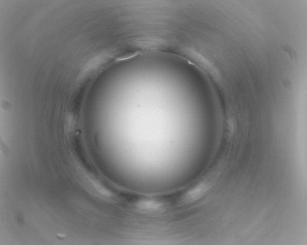 X0000090950117200708021344