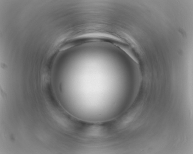 X0000090950119200708021344