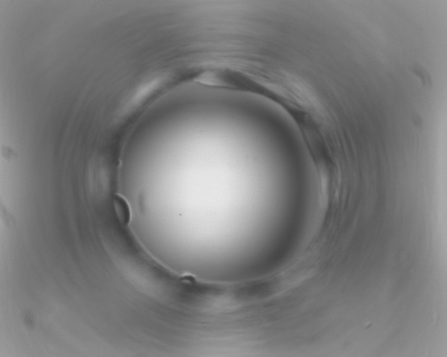 X0000090950120200708021344