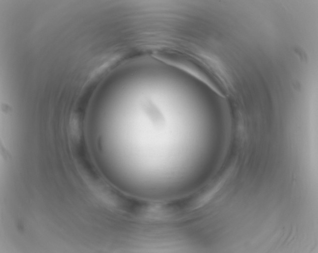 X0000090950121200708021344