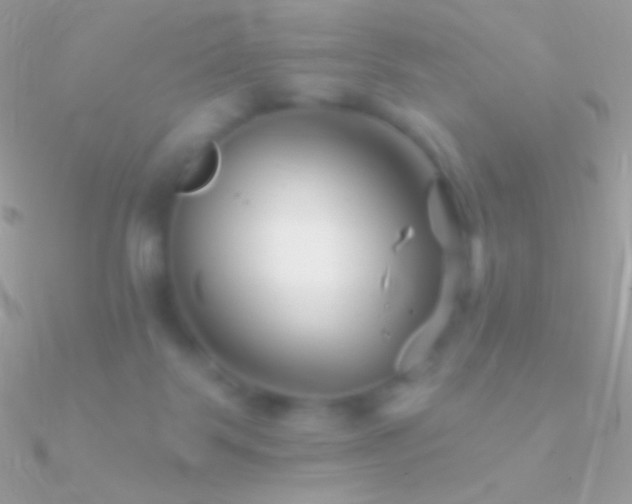 X0000090950123200708021344