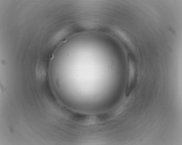 X0000090950124200708021344