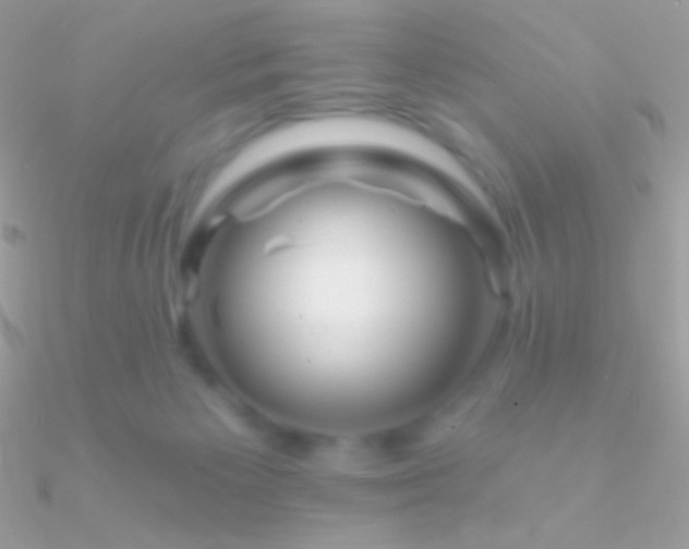 X0000090950125200708021344