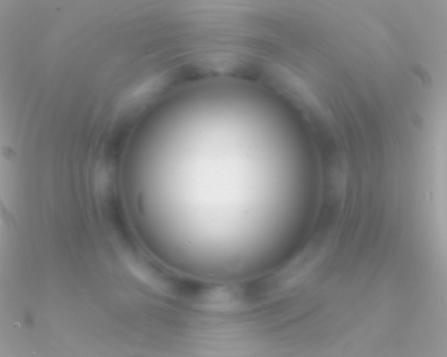 X0000090950126200708021344
