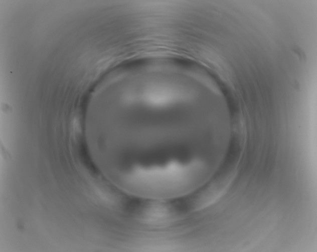 X0000090950127200708021344
