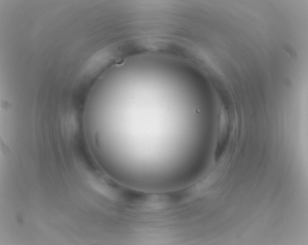 X0000090950128200708021344