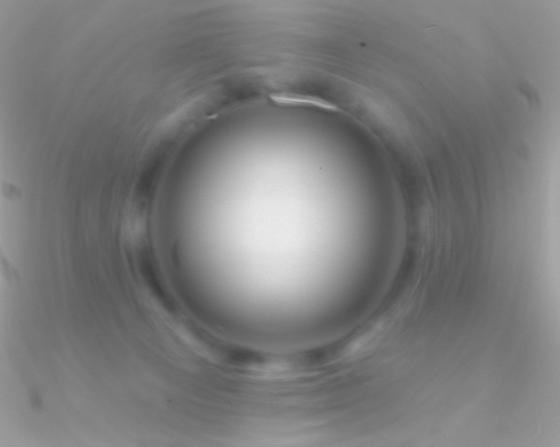 X0000090950129200708021344