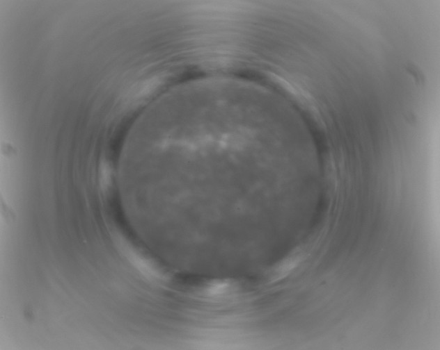 X0000090950130200708021344