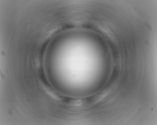 X0000090950131200708021344