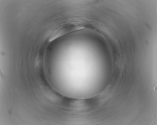 X0000090950132200708021344